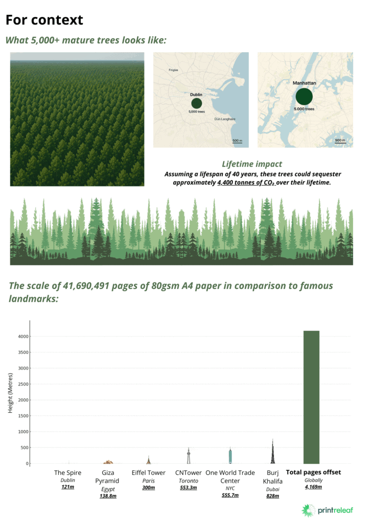 what 5,000+ trees looks like visually